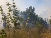 Otkriveni novi detalji: Ko je žena uhapšena zbog požara u Dalmaciji?