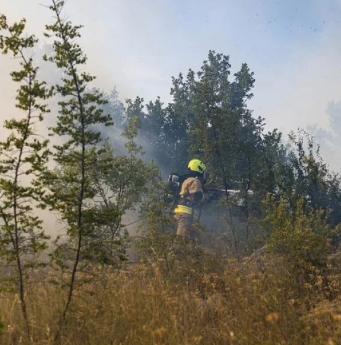 Otkriveni novi detalji: Ko je žena uhapšena zbog požara u Dalmaciji?