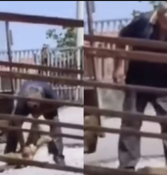 Uznemirujući snimak iz bh. susjedstva: Radnik pečenjare uhapšen nakon što je usmrtio dva psa