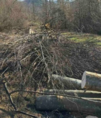 Tragedija kod Sarajeva: Radnik poginuo tokom sječe šume