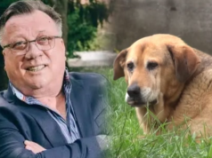 Tuga bez kraja: Uginuo pas Halida Bešlića, nakon pjevačeve smrti 15 dana nije jeo ni pio